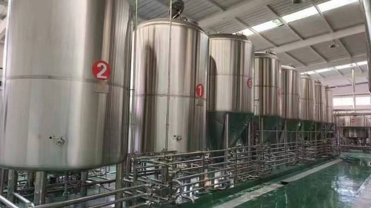 新兴日产10吨精酿啤酒设备多少钱?2026年全套报价帮你算明白